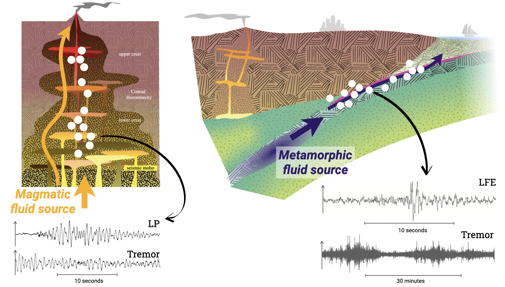 Interacting dynamics of fluid flow & seismicity